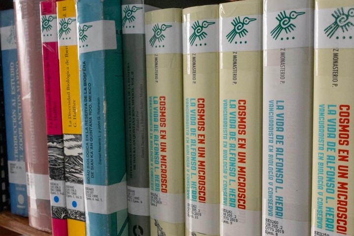 Inauguran Colección de Amigos de Sian Ka’an en la biblioteca pública de la Unicaribe