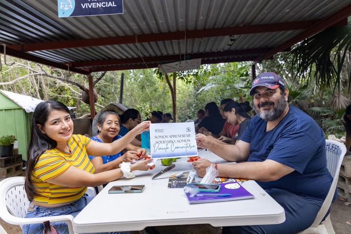 Más de 600 personas toman algún curso gratuito en la Universidad del Caribe