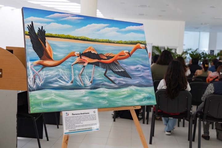 Presentan en la Universidad del Caribe el Festival Anual de las Aves Isla Mujeres-Cancún