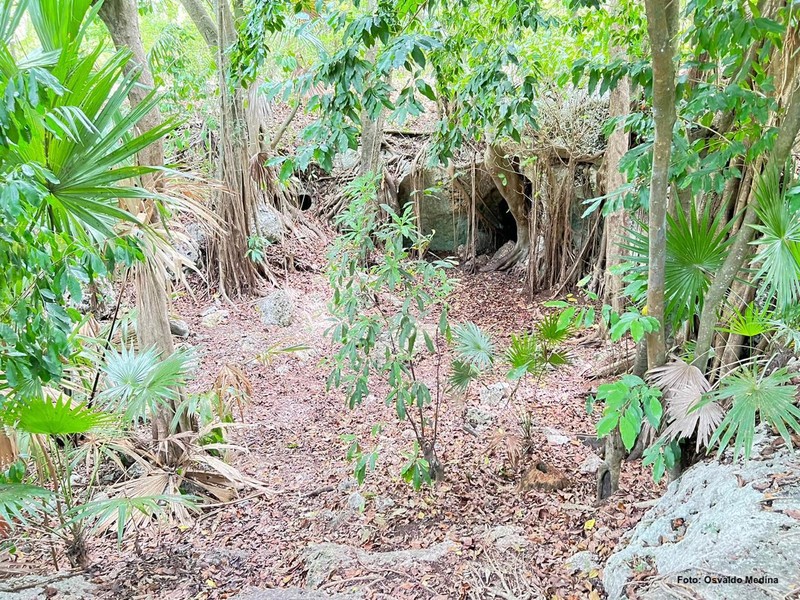 Cueva de los murciélagos Unicaribe  (1).jpeg