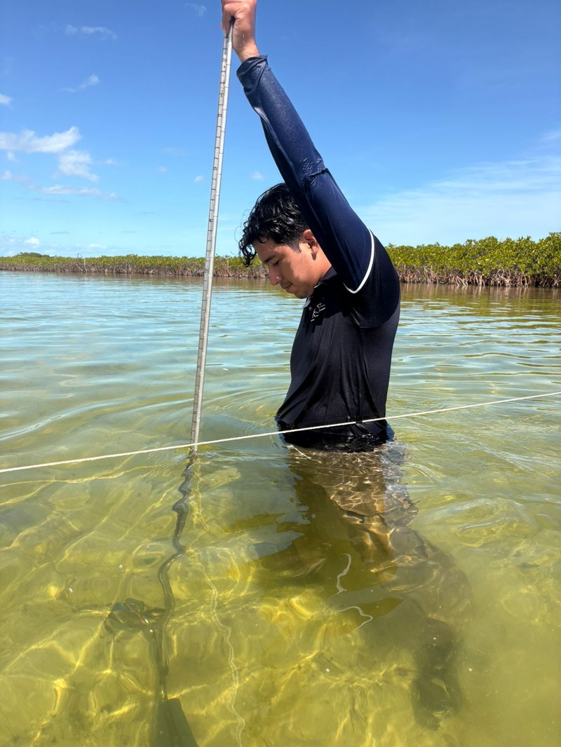 Estudiantes de Ingeniería Ambiental de Unicaribe contribuyen al rescate de mangle en Sian Ka’an