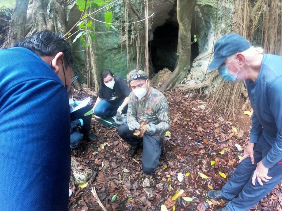 Exploran por primera vez en la Unicaribe las “cuevas de los murciélagos”