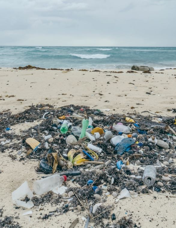 Identifica Unicaribe a las playas  más contaminadas con plásticos